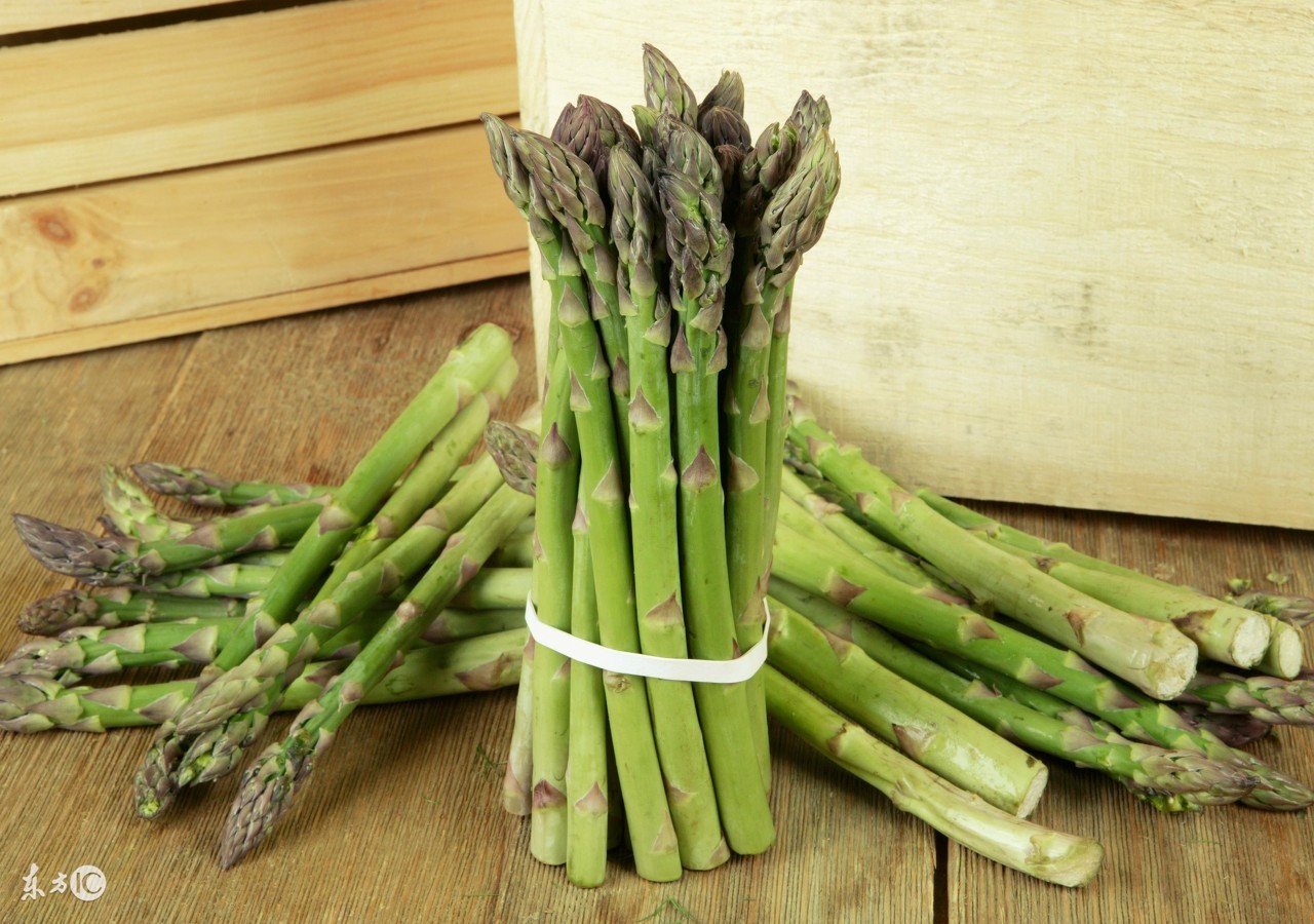 芦笋用什么内吸药防治茎枯病,芦笋出现茎枯病怎么处理