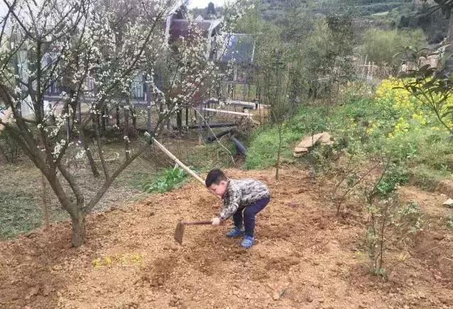 重庆高山避暑垂钓,周末自驾烧烤好去处