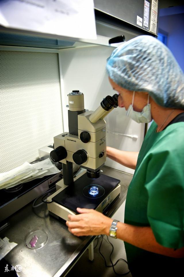 为了老公做试管婴儿值得吗,男人做试管婴儿有多疼