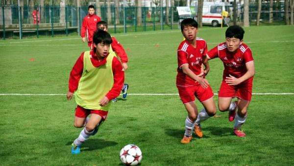 颜强德国足球青训,颜强谈青训