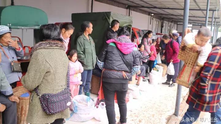 南溪长兴赶场,南溪区南溪镇赶集视频