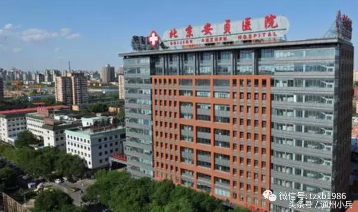 儿研所在宋庄哪建 (宋庄儿研所什么时候开建)