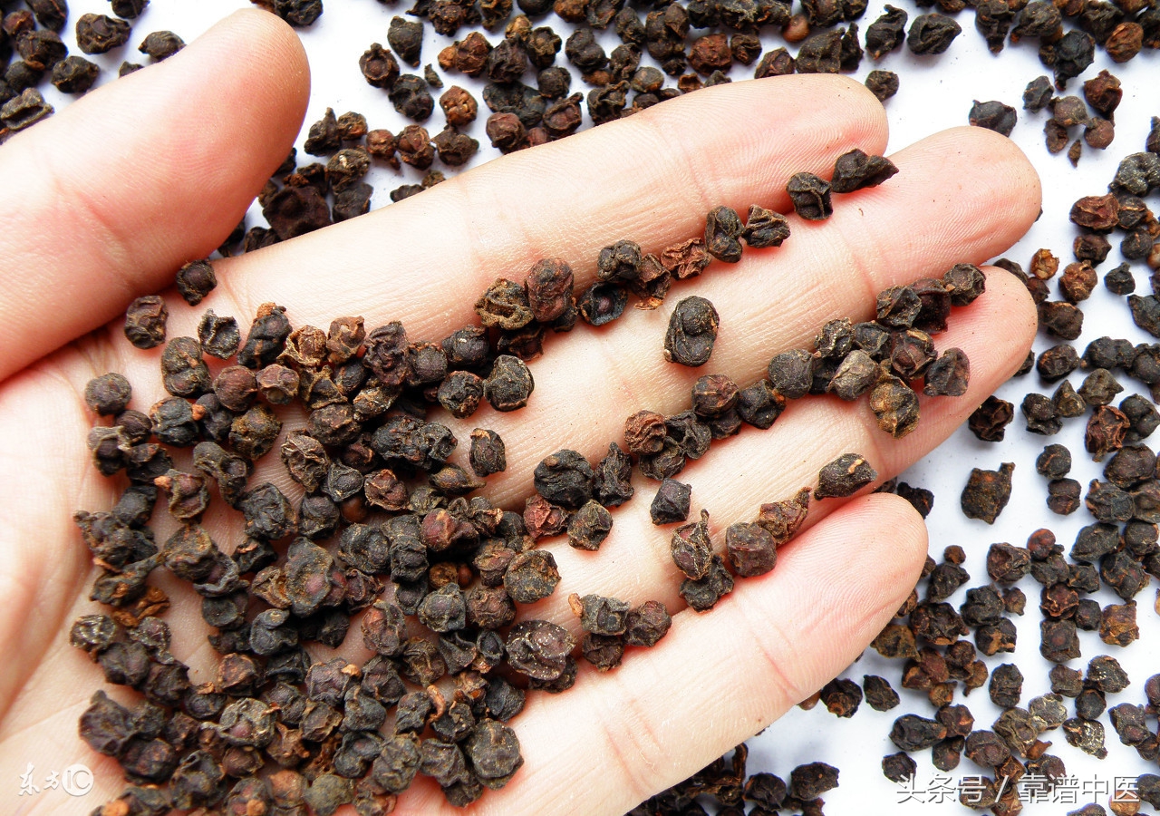 五倍子功效作用与主治,五倍子的功效与主治是什么