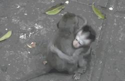 怎样学会海淘,手把手教你日本海淘