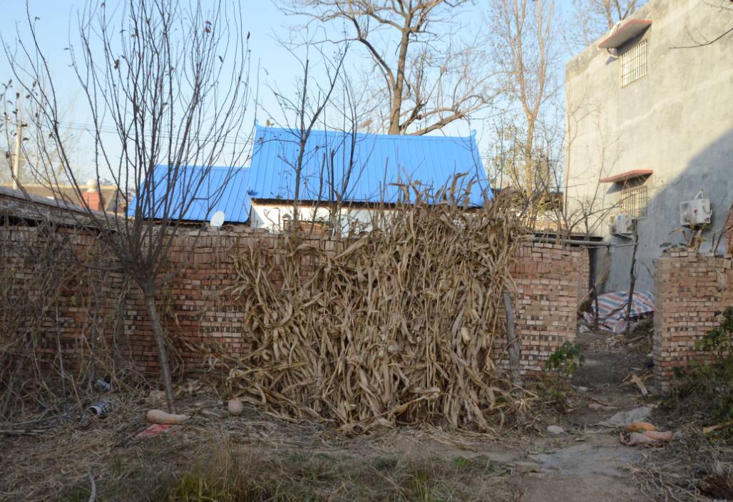 郑州军海脑病医院治癫痫靠谱吗,郑州军海脑病癫痫医院咋样