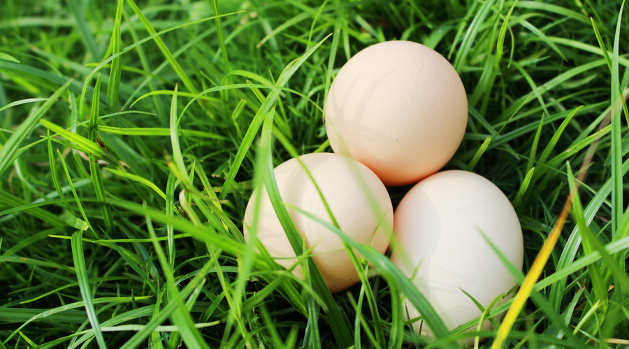 一直在减肥从来未成功,一直在减肥却从来没减过一斤八两