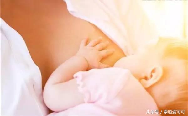 一岁半断奶的正确方法,玄凤鹦鹉断奶正确方法