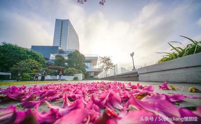 广州第一家白天鹅宾馆,广州白天鹅酒店故事