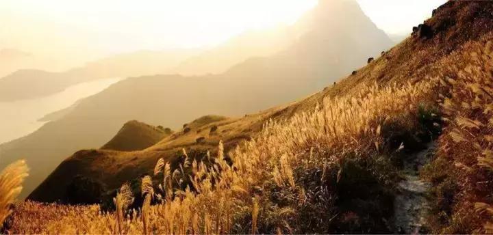 香港打卡小岛,香港小众打卡圣地