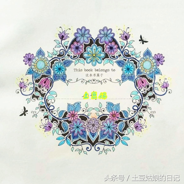 玩秘密花园涂色本,秘密花园涂色本可爱