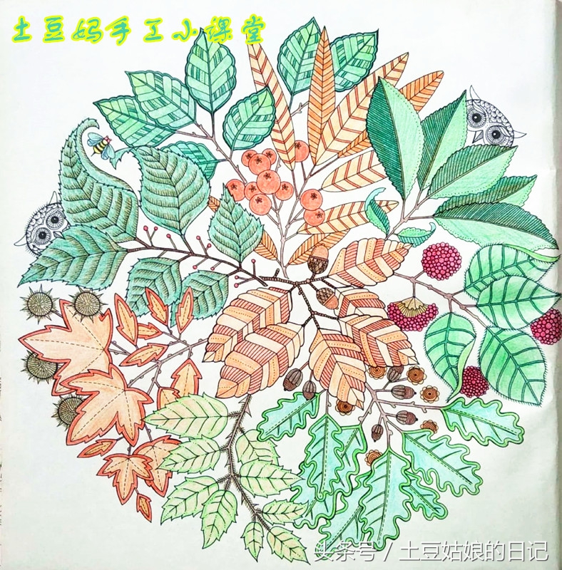 玩秘密花园涂色本,秘密花园涂色本可爱