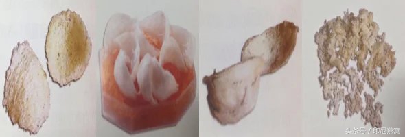 10元一克的燕窝是假的吗,6块一斤的燕窝