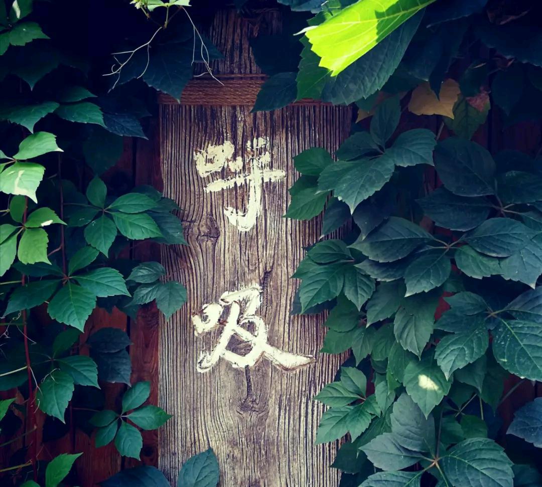 青岛铭家小院喜事,青岛市铭家小院