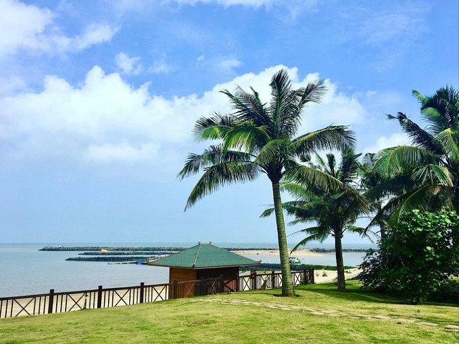 野鹅自驾：3天带你畅玩海口，椰风沐浴，体验不一样的慢旅行！