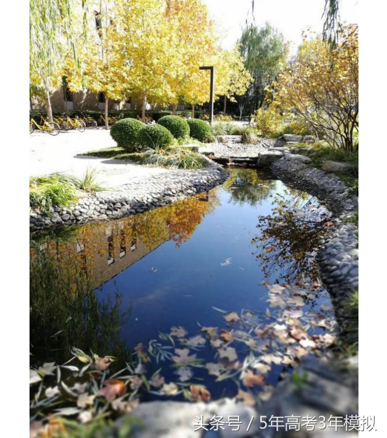 我国的财经大学哪家强,中国的财经类大学排名