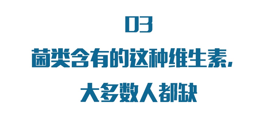 冬季菌菇最养人，这6种菌菇你千万别错过！