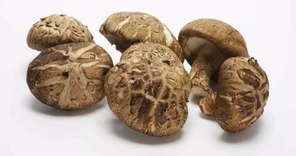 冬季菌菇最养人，这6种菌菇你千万别错过！