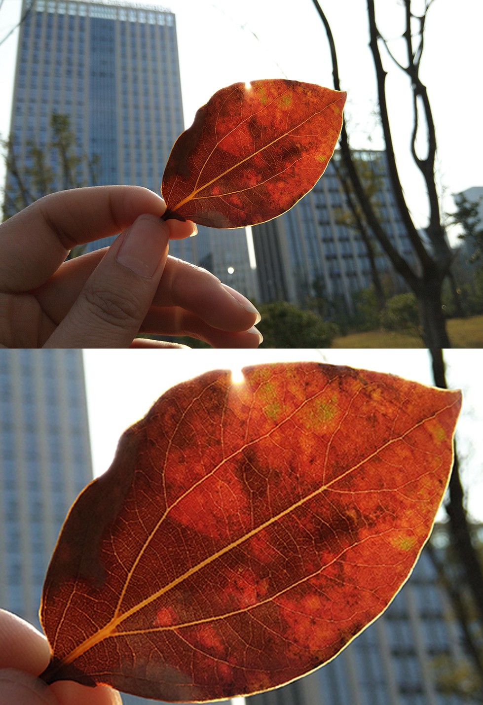 360n6评测吃鸡,360n6pro黑科技