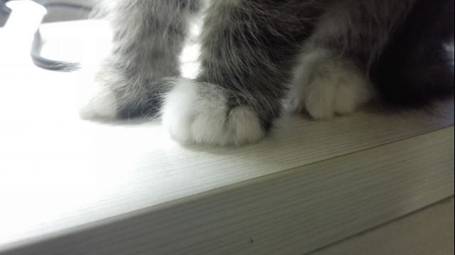 全都太有才了！NGA论坛水友集体COSPLAY魔兽世界技能图标