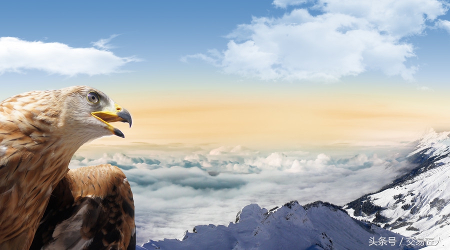 股票策略方法和技巧,狗股理论的十大策略