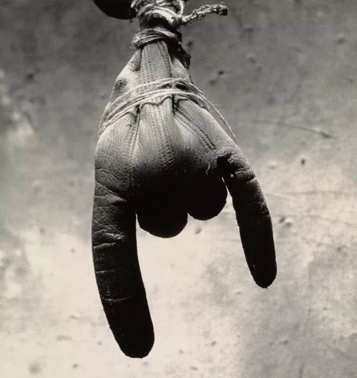 欧文佩恩摄影大师,欧文佩恩高清大图