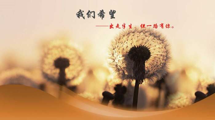 银行科技岗与互联网公司哪个好,互联网公司和科技公司的区别