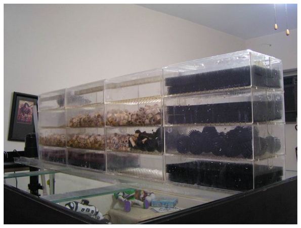 养鱼过滤系统滤材需要更换吗,简单介绍一下养鱼过滤系统的原理