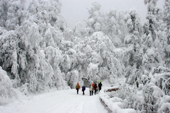 四川周边看雪游景点推荐 (四川雪景旅游景点排名前十)