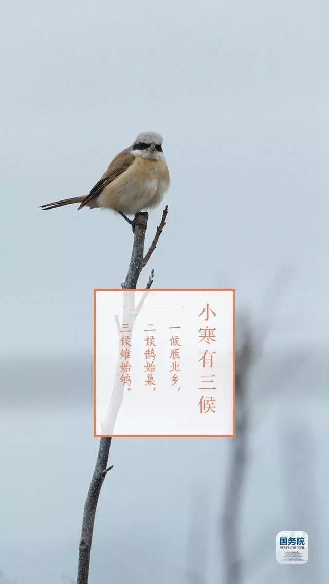 一张图上包含二十四节气壁纸,高清中国插画二十四节气壁纸