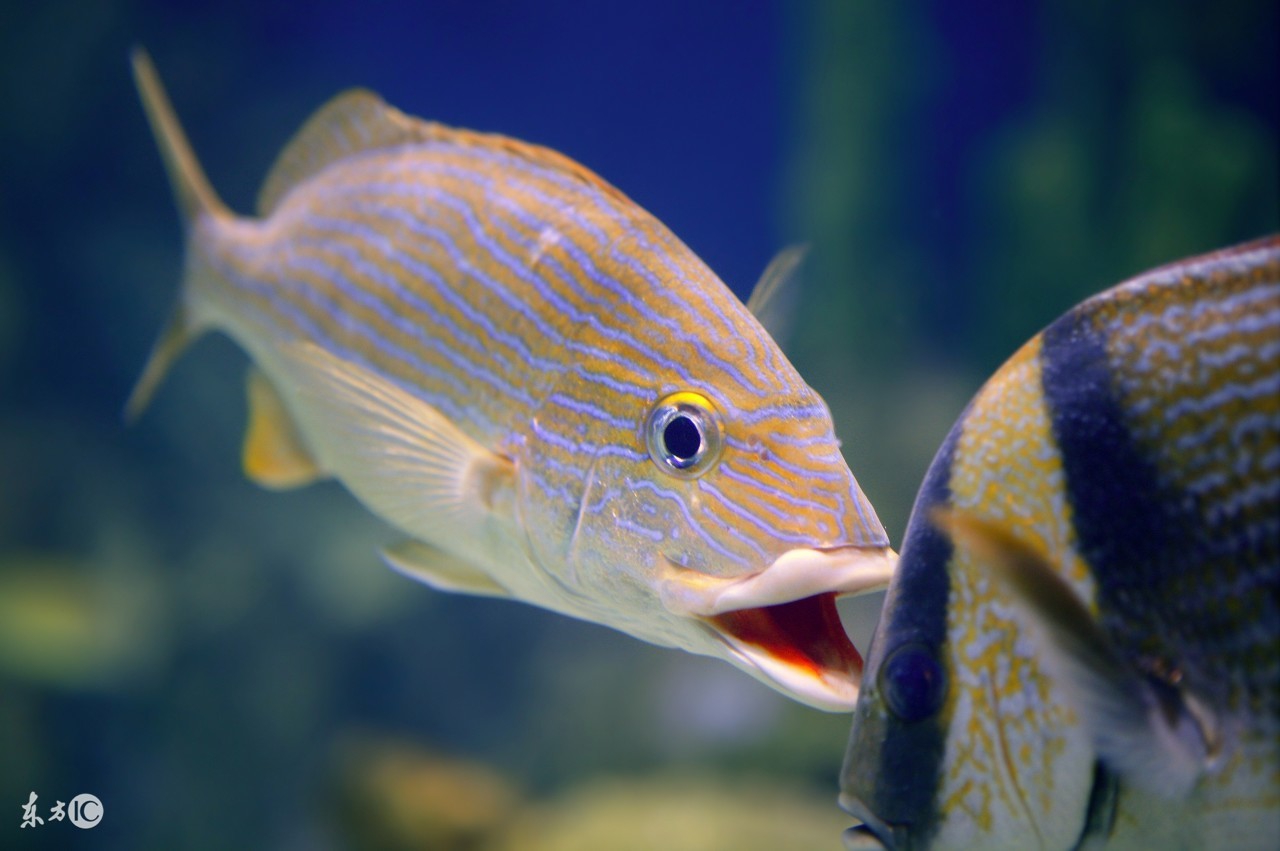 83个细思极恐的冷知识,8条有趣的冷知识