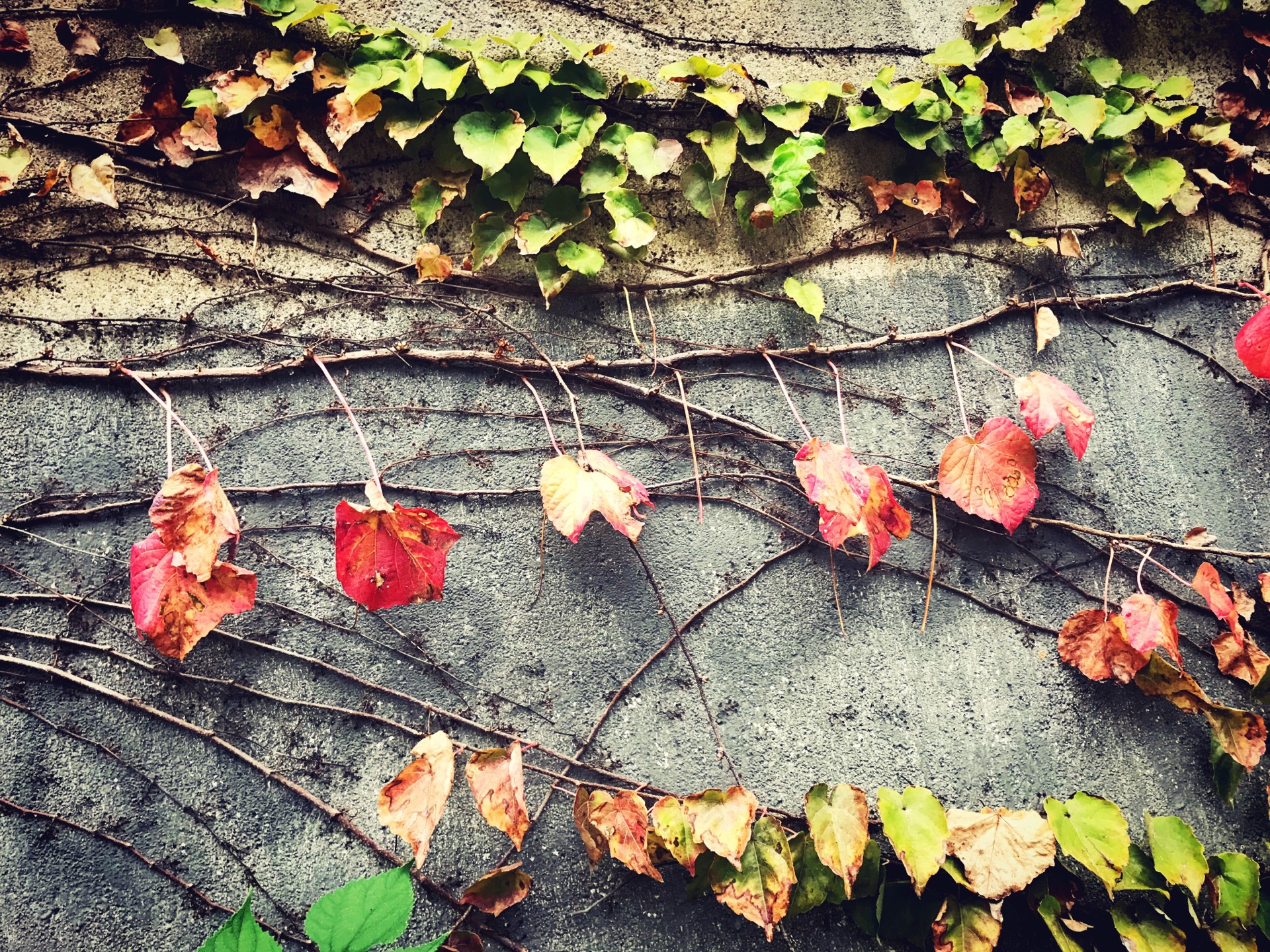 这是，浙师！双龙学者王辉教授眼中的师大，美不胜收！