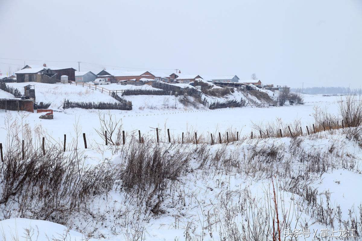 村妇救助八路军伤员,村妇好心救助受伤鬼子