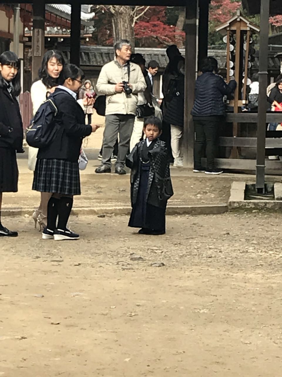 日本关西美食攻略,跟我游旅游攻略