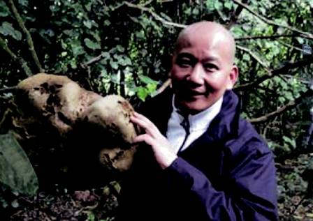 在新西兰我连吃两顿杭伊，还和毛利武士干了一架|出发吧