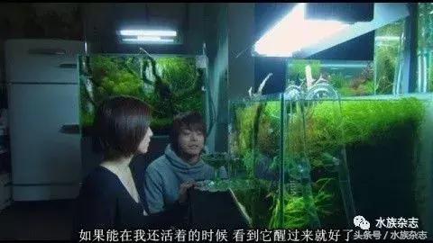 水族电影科幻,水族剧情视频