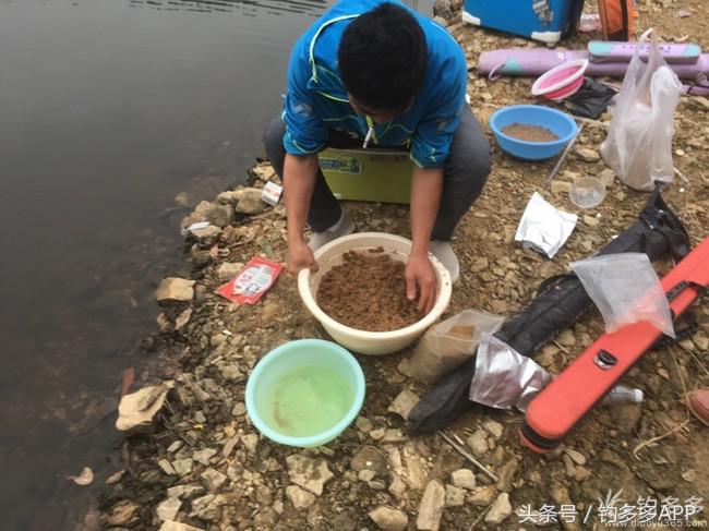 奔横县只为巴西雕，遇降温无奈成掐鲤