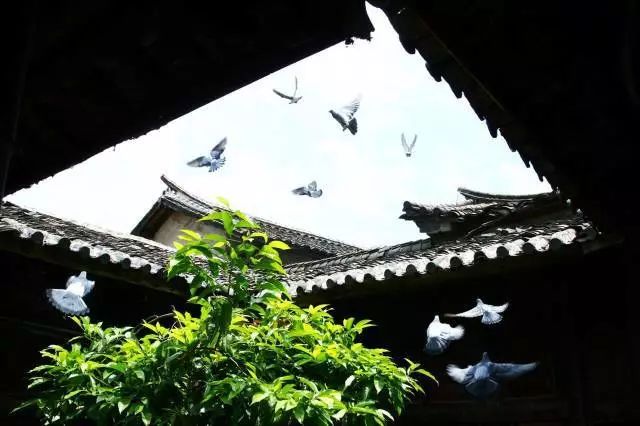 遇见会理|厉害!会理古城登上《华西都市报》占整版篇幅!