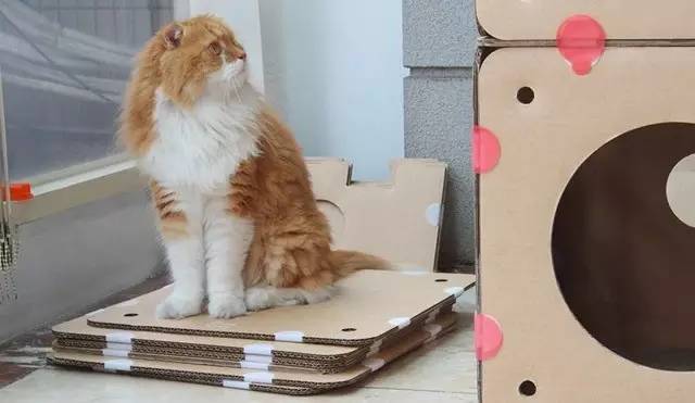 “双十一”买买买之后，快递盒怎么办？别扔，让它变身“百宝箱”！