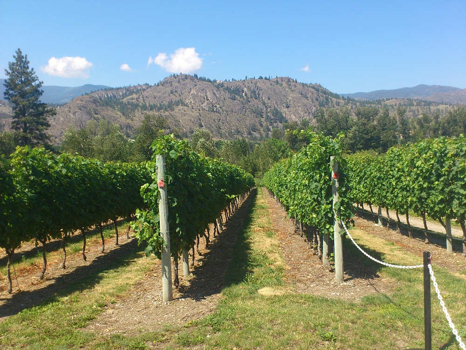 豆瓣日记完整版,豆瓣日记大全