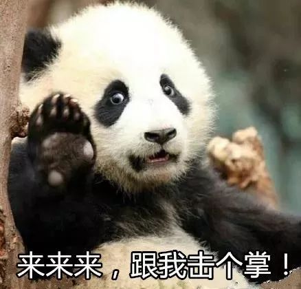 酷骑单车押金后续怎么处理的,北京酷骑单车还能退押金吗