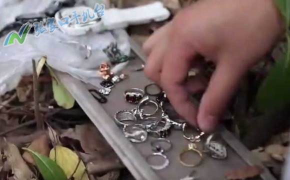 手机版张家口新闻网,张家口新闻头条视频