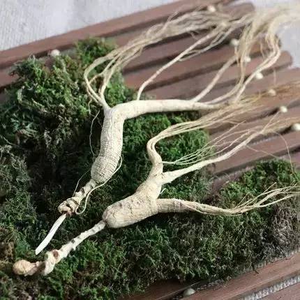 辽宁各地美食分布图,辽宁美食攻略大全