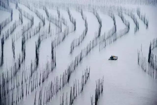 有手就会拍的构图技巧,向心式构图作品怎样拍