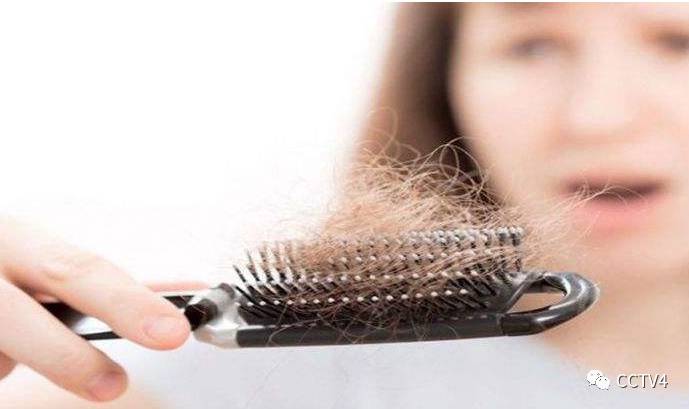 秋天一到就很会掉头发,头发一到秋天就落得厉害是怎么了