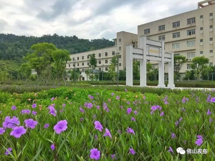 佛山十大森林公园,佛山森林公园在哪里