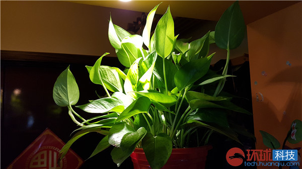 三星galaxys拍照评测,三星拍照vs苹果拍照