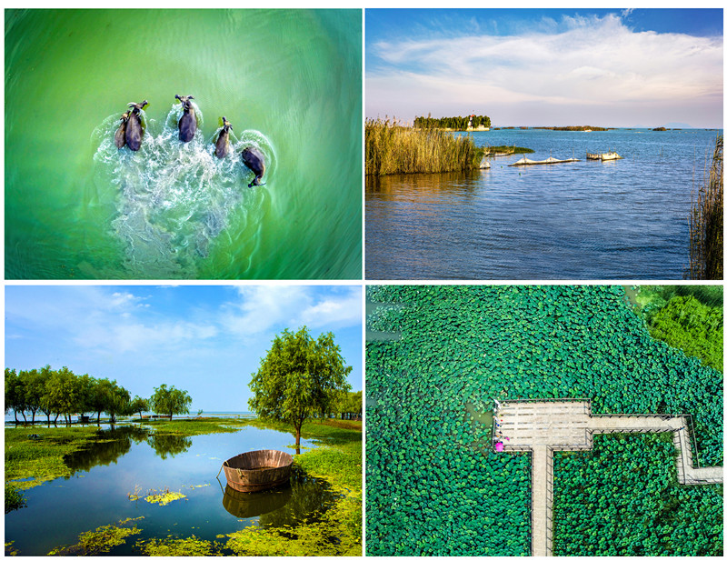 赛+品+赏+玩+吃=第十届“春色滨湖”旅游文化节