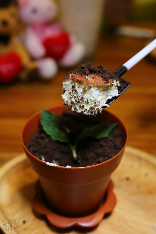 爱上泰迪熊，去TeddyCoffee下午茶约吗？