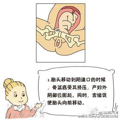 分娩子宫峡部变化,子宫颈细胞变化