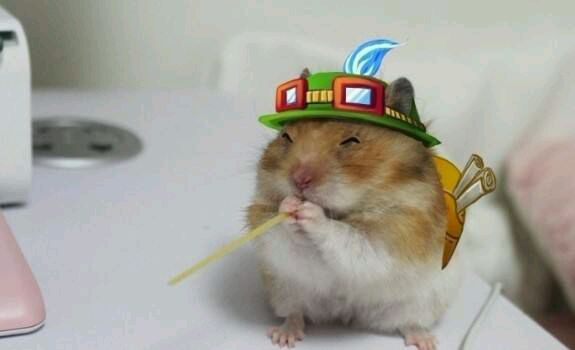 英雄联盟奇葩辅助,盘点英雄联盟辅助排名